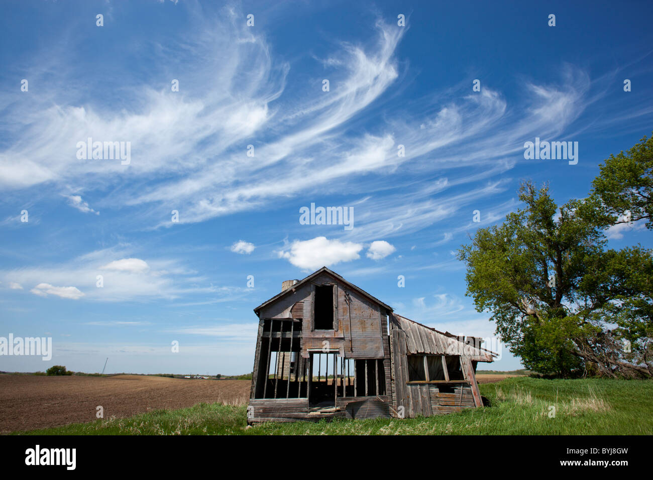 Stati Uniti d'America, Minnesota, Welch, azienda abbandonata e silo in prairie campo nel pomeriggio a molla Foto Stock