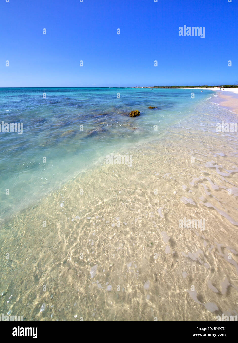 Costa di Sunny Aruba Foto Stock
