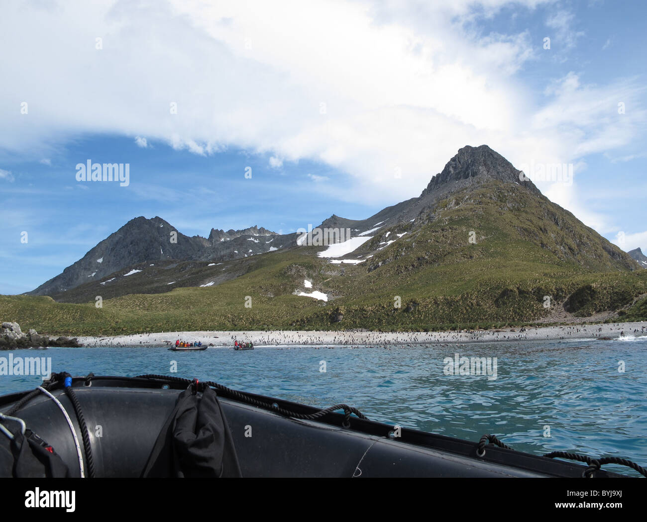 Zociac barca si avvicina Cooper Bay, Georgia del Sud Foto Stock