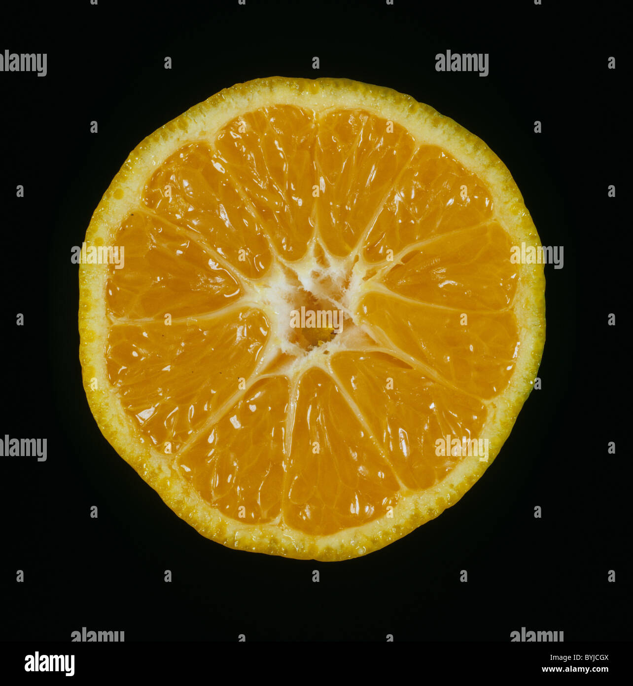 Tagliare la sezione di un verde pelle frutta mandarino satsuma varietà Foto Stock