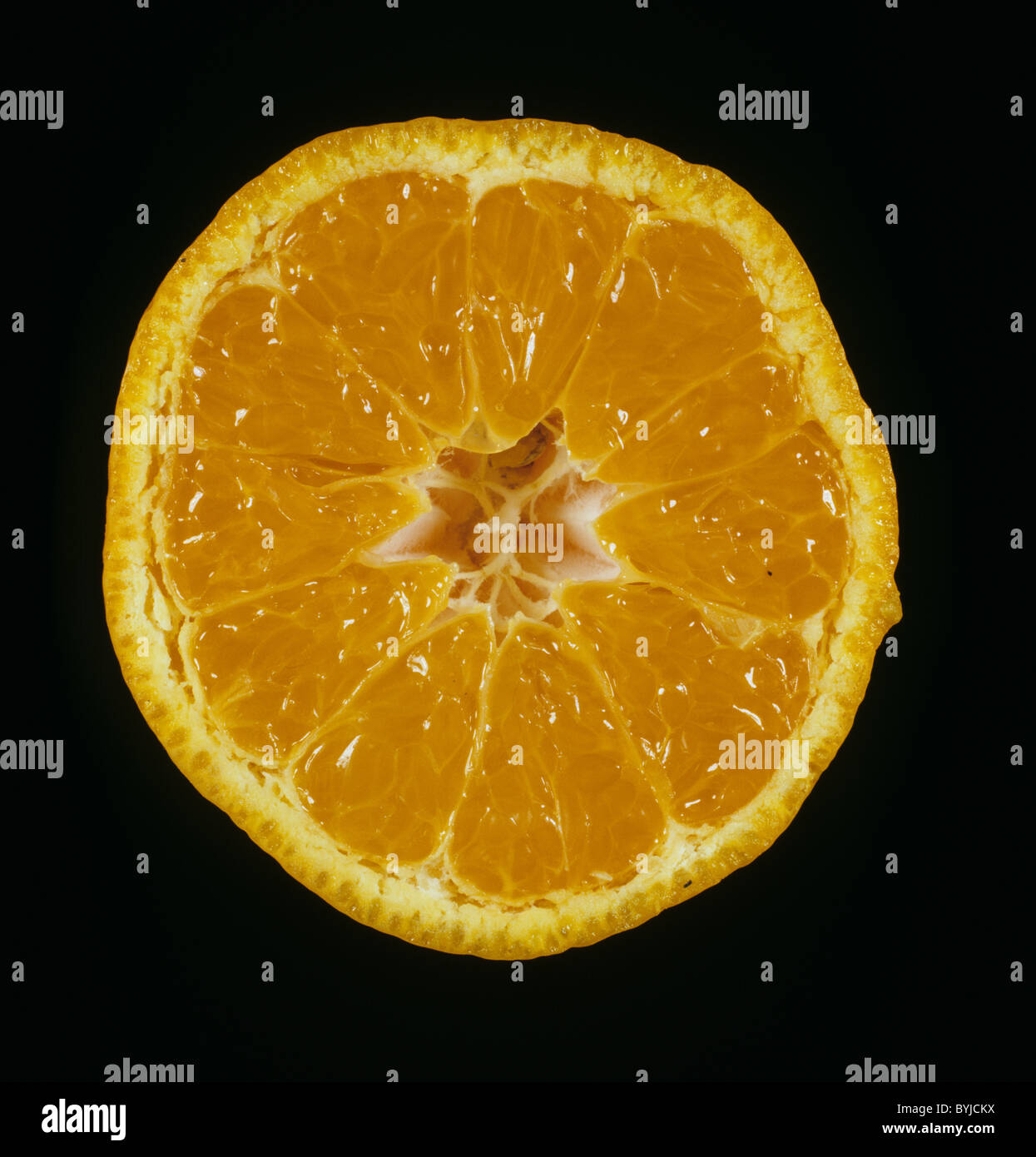 Tagliare la sezione di una ben colorata frutta mandarino satsuma varietà Foto Stock