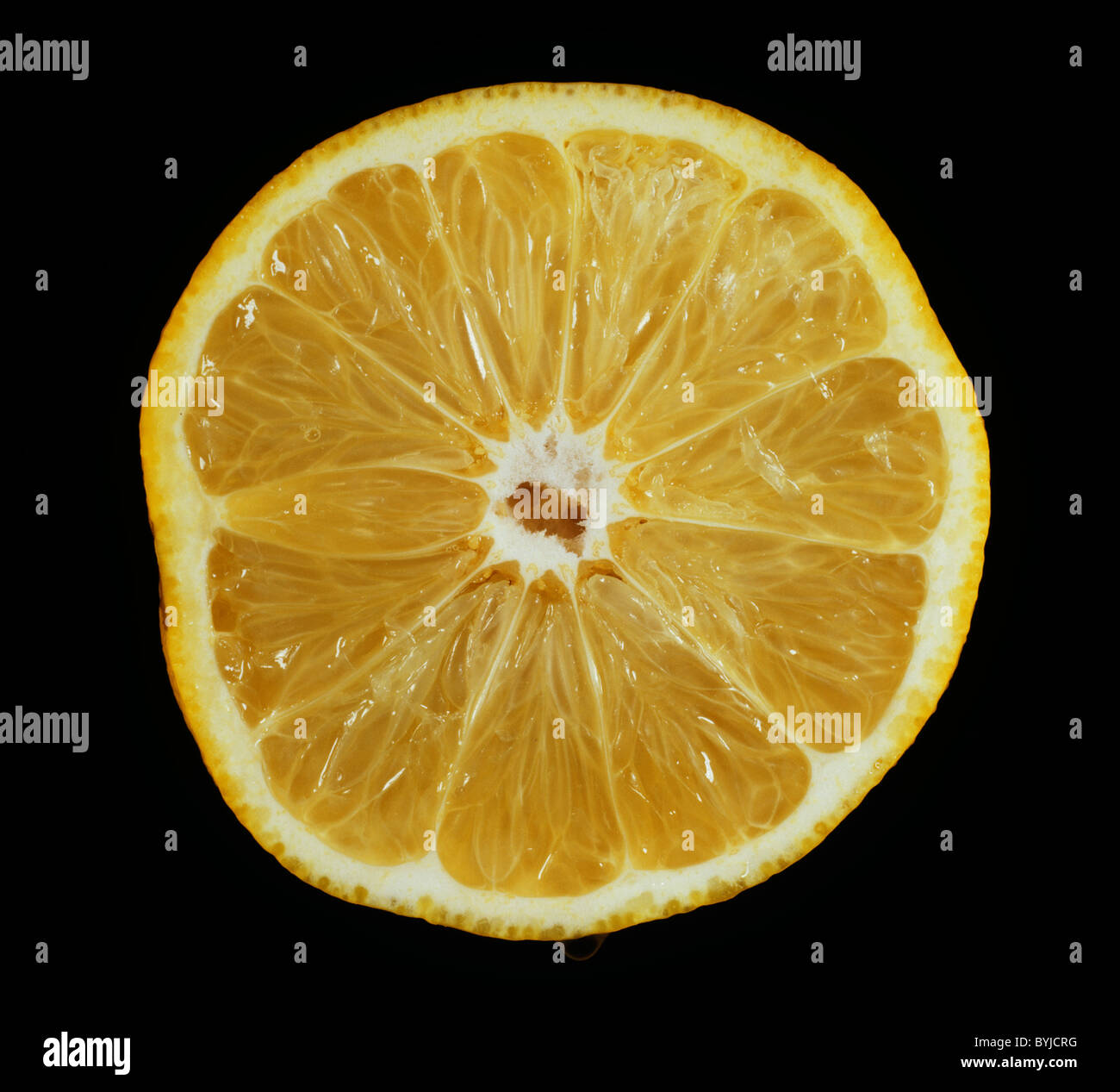 Tagliare la sezione di un pompelmo varietà di frutto Sunfruit Foto Stock