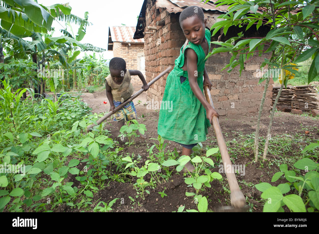 Due bambini che lavorano sul loro famiglia della piccola azienda agricola nelle zone rurali a Masaka, Uganda, Africa orientale. Foto Stock