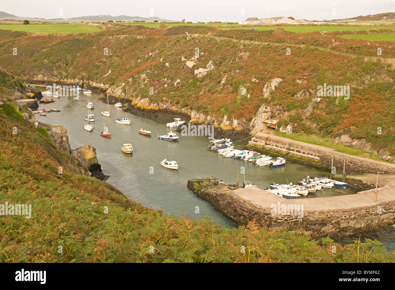 Porth Clais sul Il Pembrokeshire Coast, Galles Foto Stock