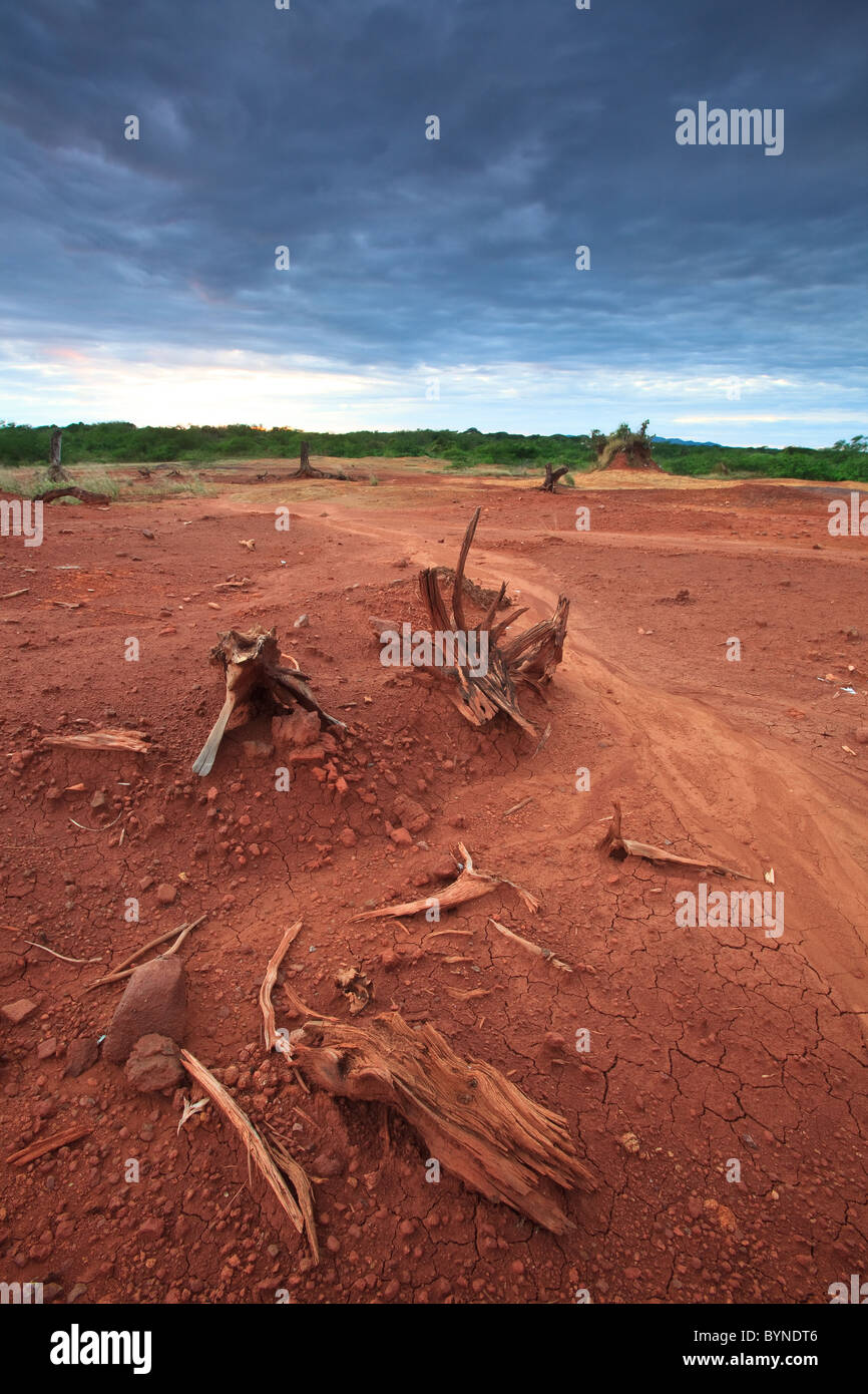 Suoli erosi in Sarigua national park (deserto), Herrera provincia, Repubblica di Panama. Foto Stock