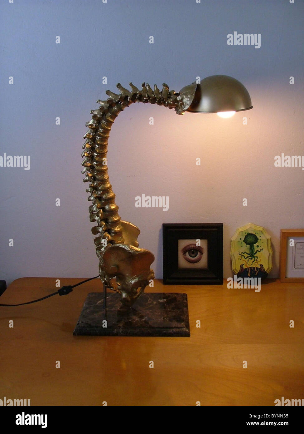 La lampada della colonna vertebrale la colonna vertebrale lampada, creato  dalla California artista Marco fascio, è una macabra luce di lettura che  non guardano fuori di Foto stock - Alamy