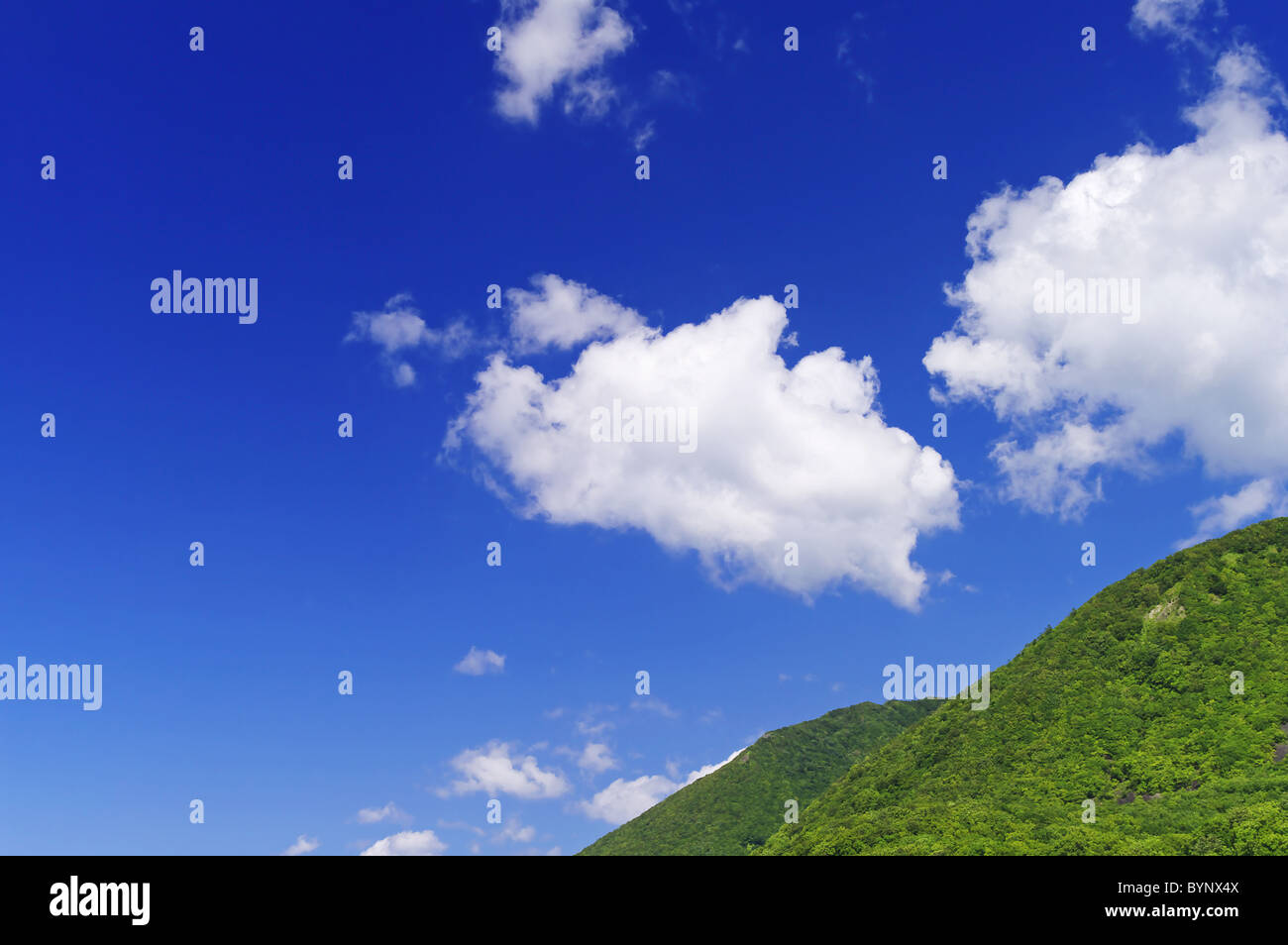 La gamma della montagna foresta di alberi di cielo estivo Cloud Foto Stock