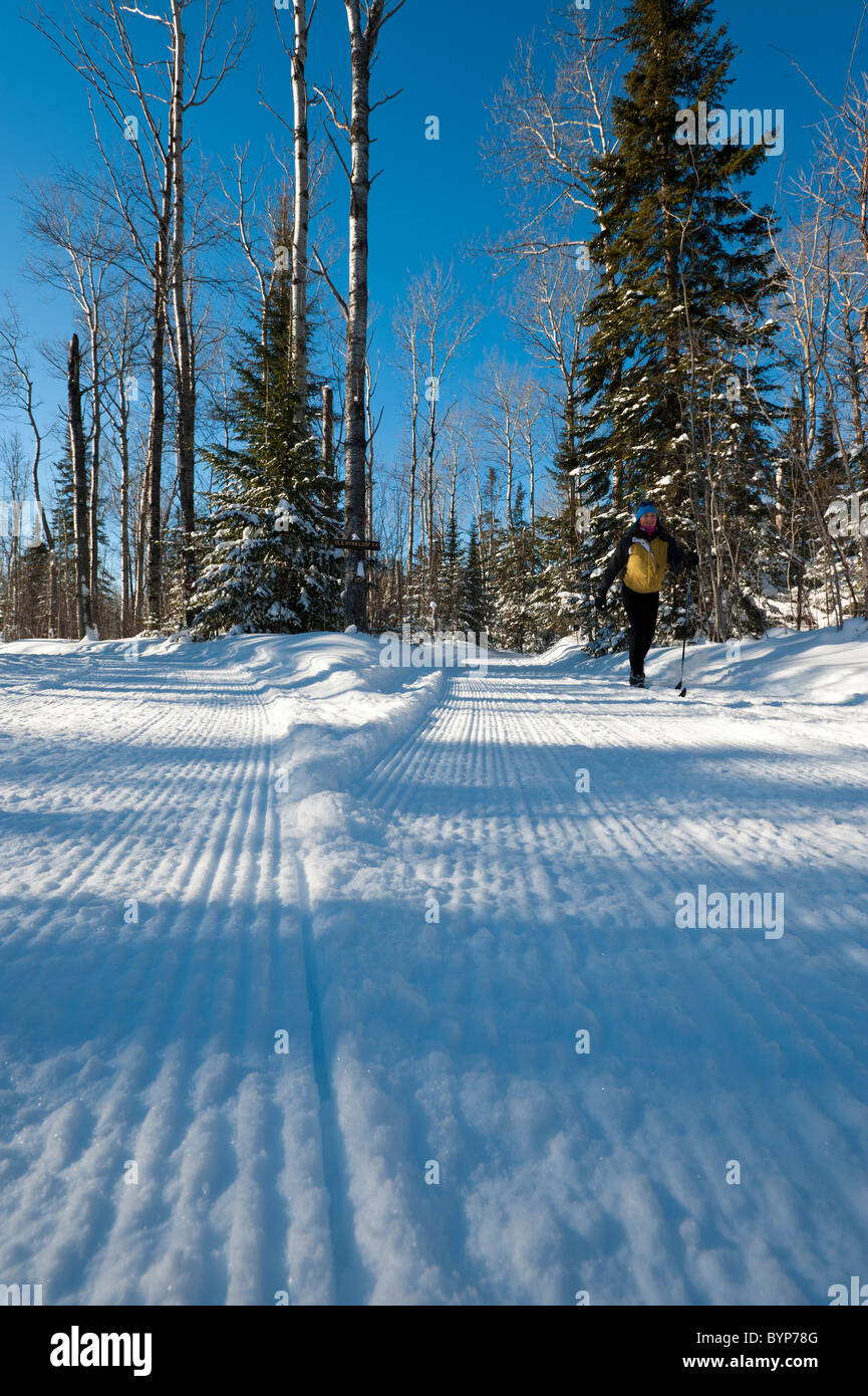 CROSS COUNTRY sciatore sul sentiero curato Foto Stock