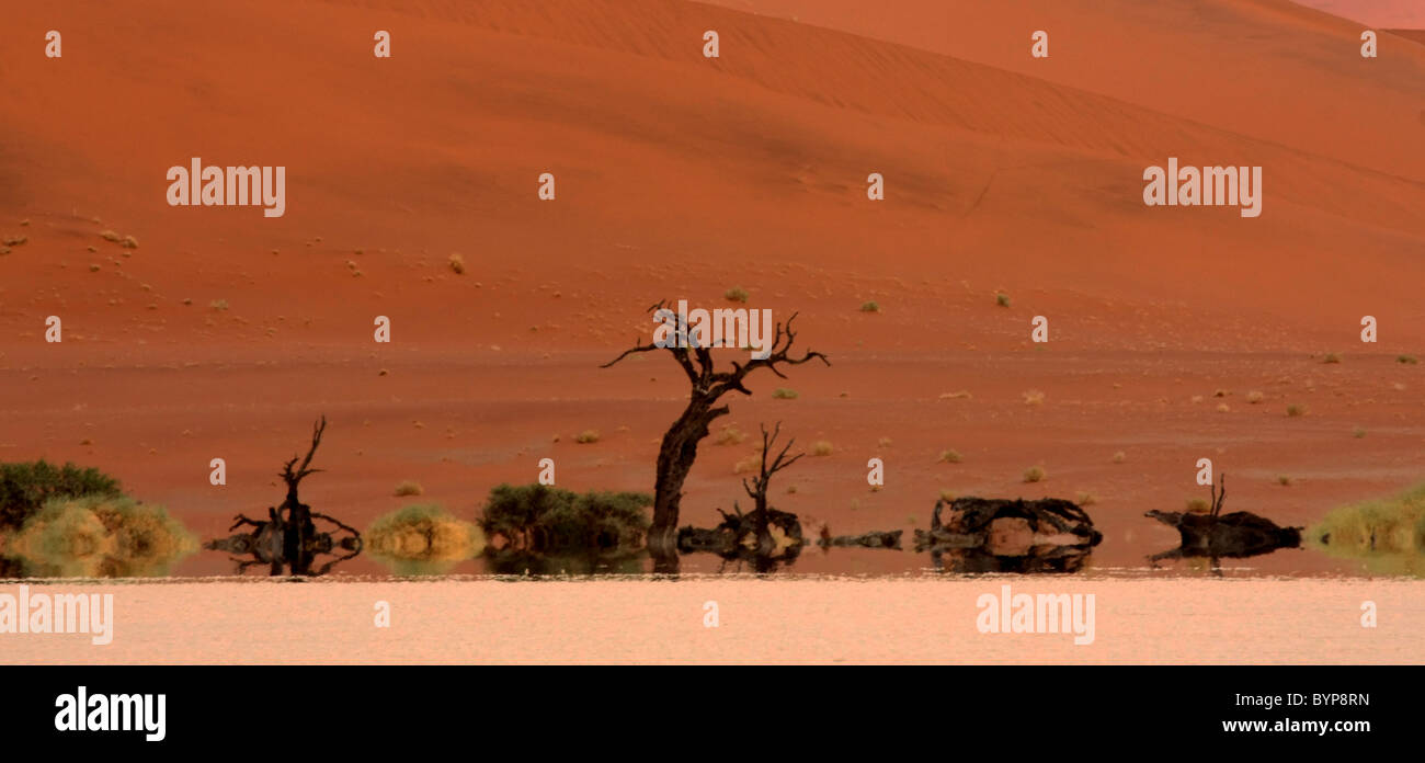 Sossusvlei Mirage Foto Stock