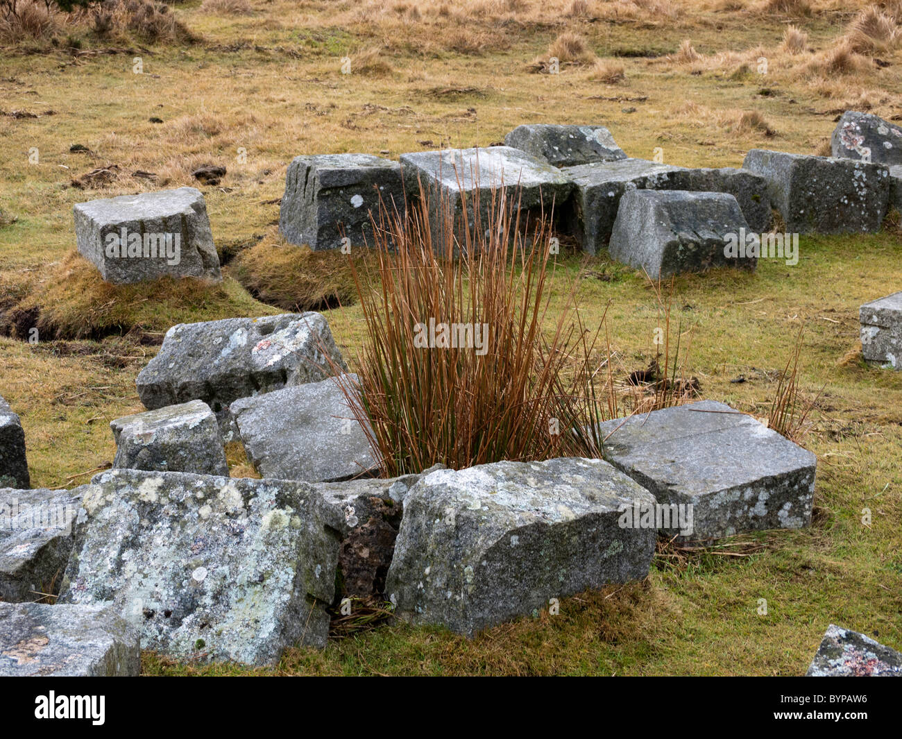 Tagliare i blocchi di granito su dartmoor devon Foto Stock