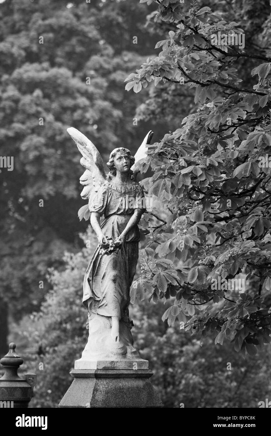 Stati Uniti d'America, New York New York City, la statua in marmo di angelo tomba sopra al cimitero di Greenwood a Brooklyn in mattinata estiva Foto Stock