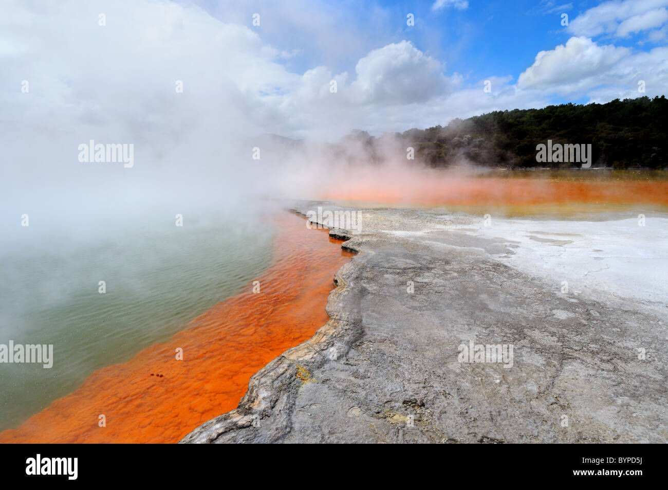Il pool di Champagne, un lago termale a Wai-o-Tapu regione geotermica vicino a taupo in Nuova Zelanda Foto Stock