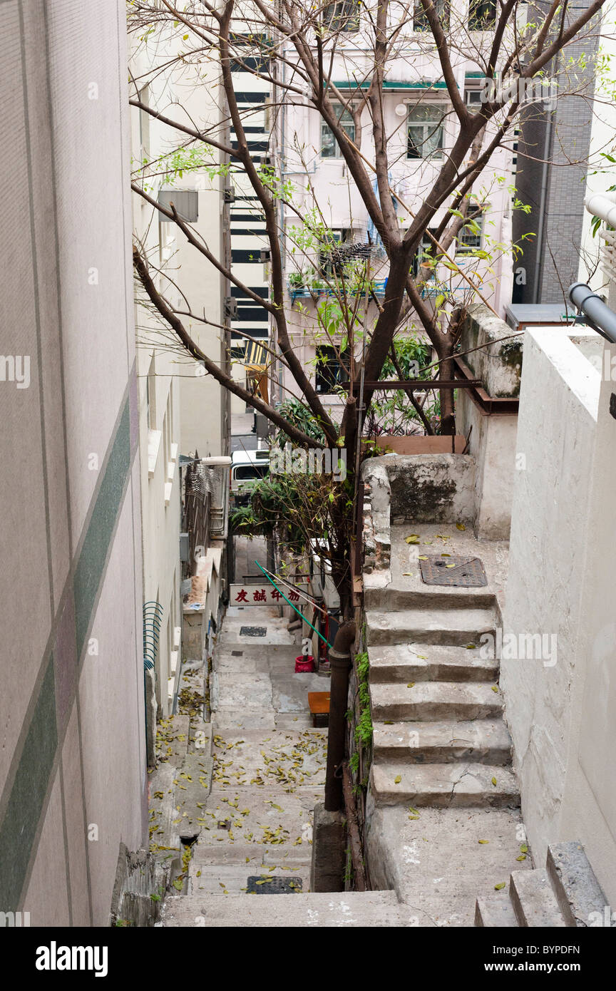 Hong Kong. Vicolo vecchio, da ponti Street, scomparendo tra gli edifici di nuova costruzione. Lonely tree. Foto Stock