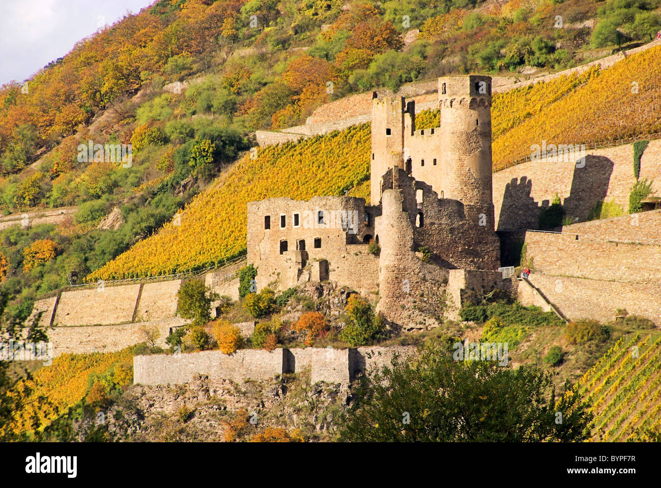 14 di Ehrenfels Foto Stock