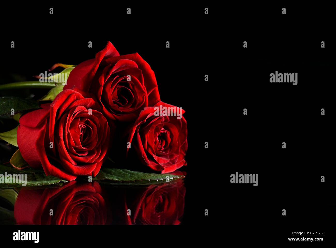 Bellissime rose rosse su sfondo nero con la riflessione Foto stock - Alamy