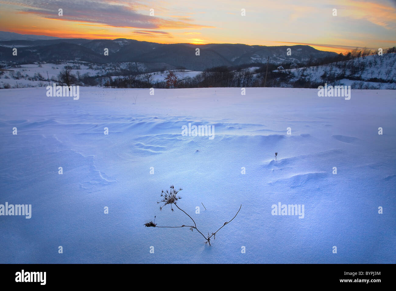 Wild natura invernale della Serbia centrale. Montagne Ovcar e Kablar durante la stagione invernale. Foto Stock