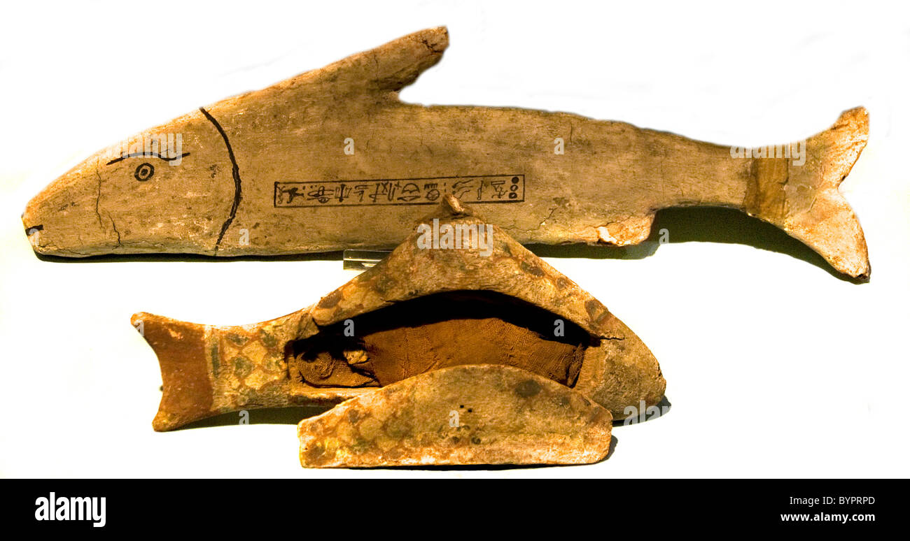 Egitto mummia dedicata al pesce Hator 100 BC - 100 egiziano di annunci Foto Stock