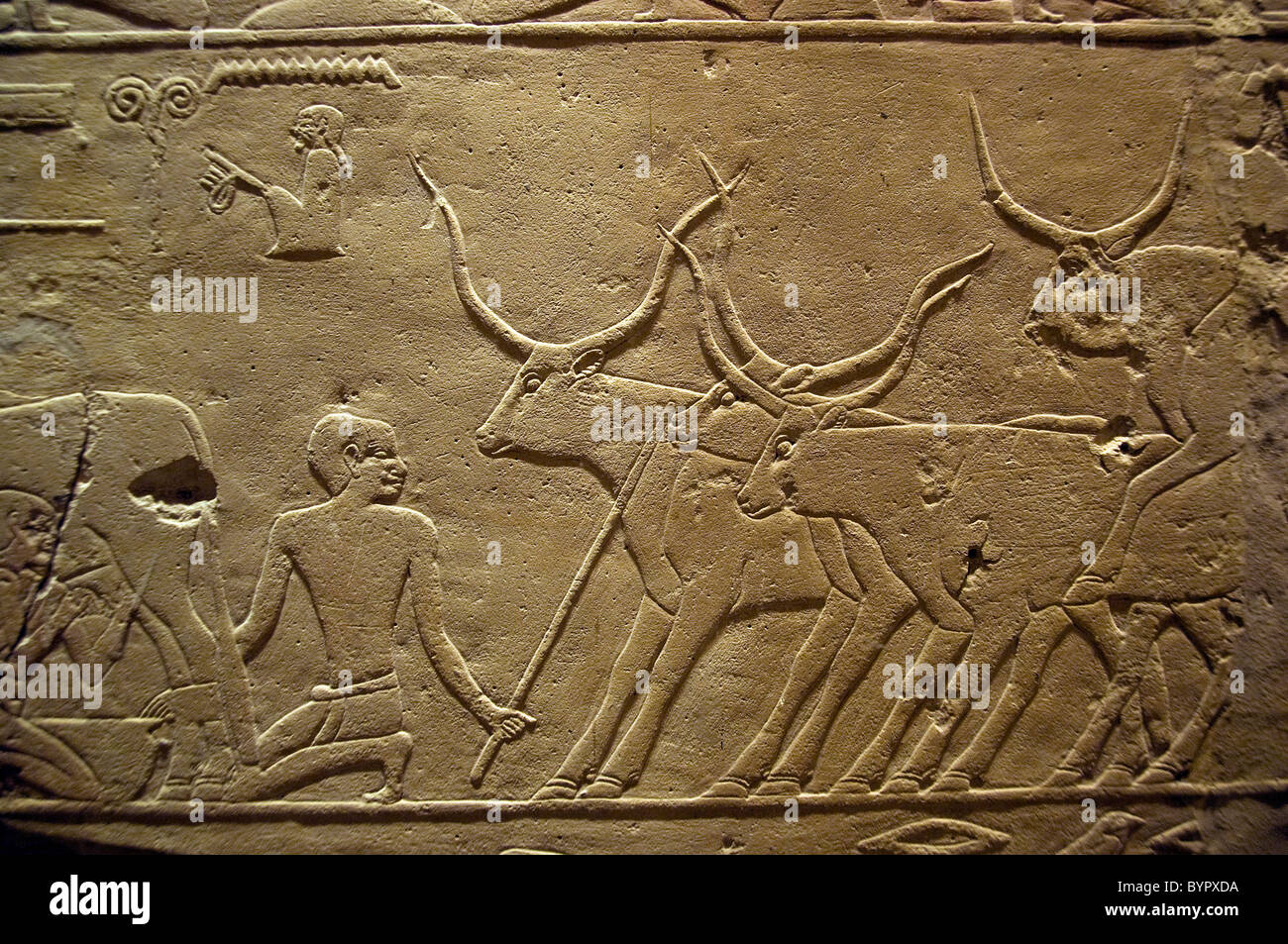 Egitto funerario Cappella Hetepherakhet Sakkara 2400 BC egiziano Foto Stock