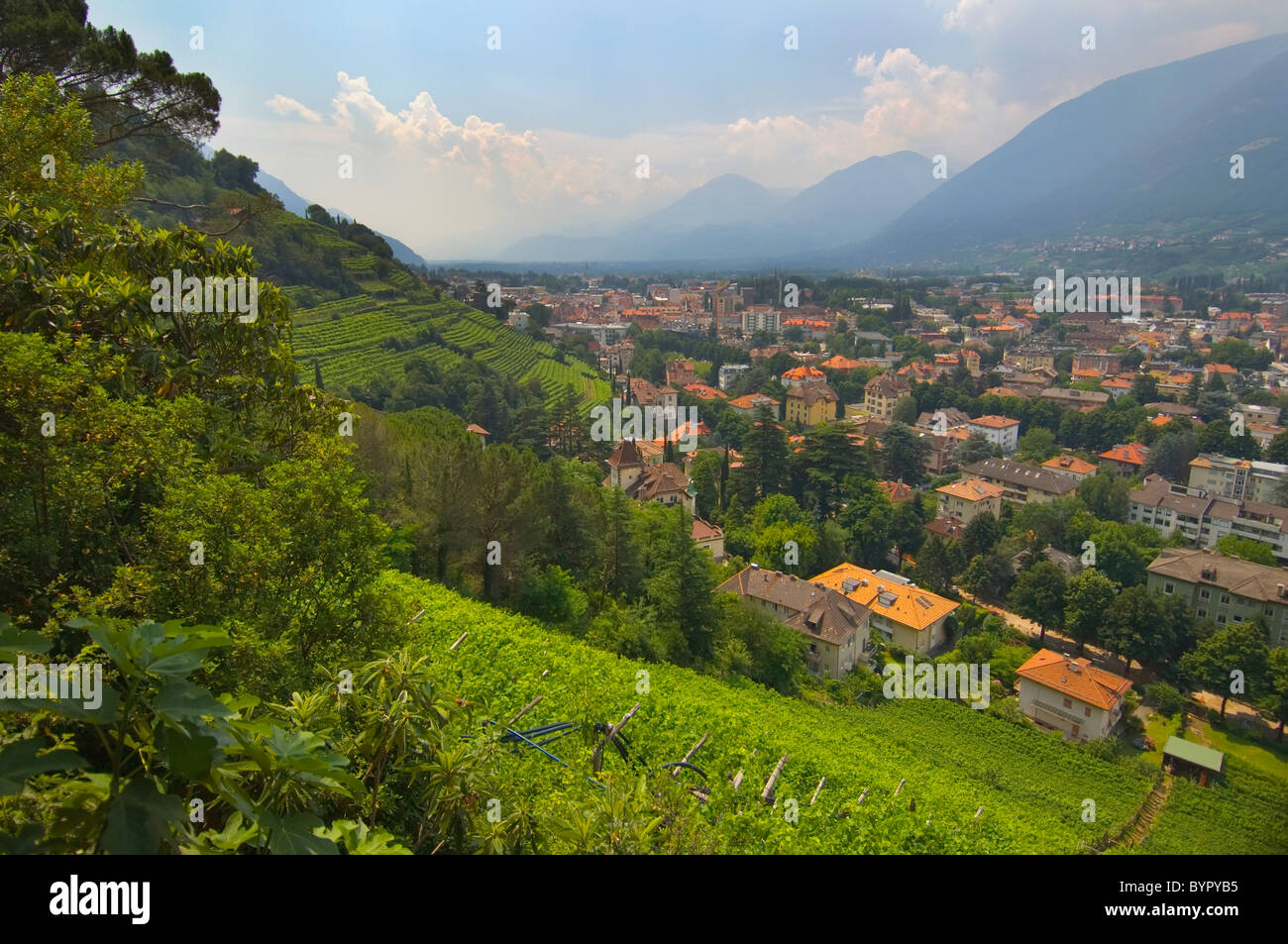 Vista di una città nella valle vicino a Merano e vigneti terrazzati; trentino alto-adige, italia Foto Stock