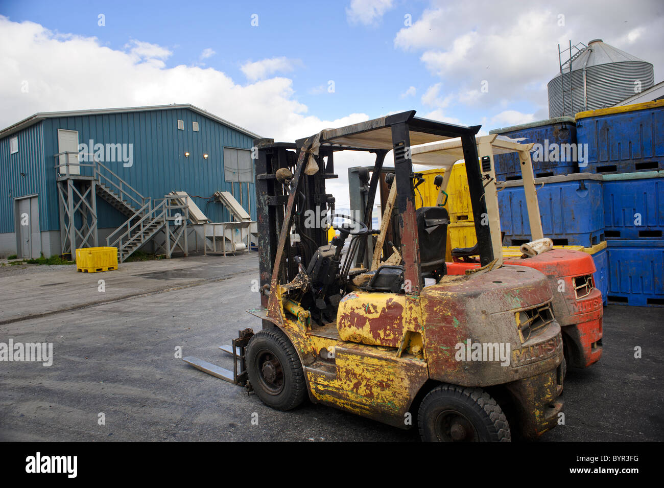 La forcella di sollevamento a impianto di trasformazione del pesce di Cox's Cove Terranova Foto Stock
