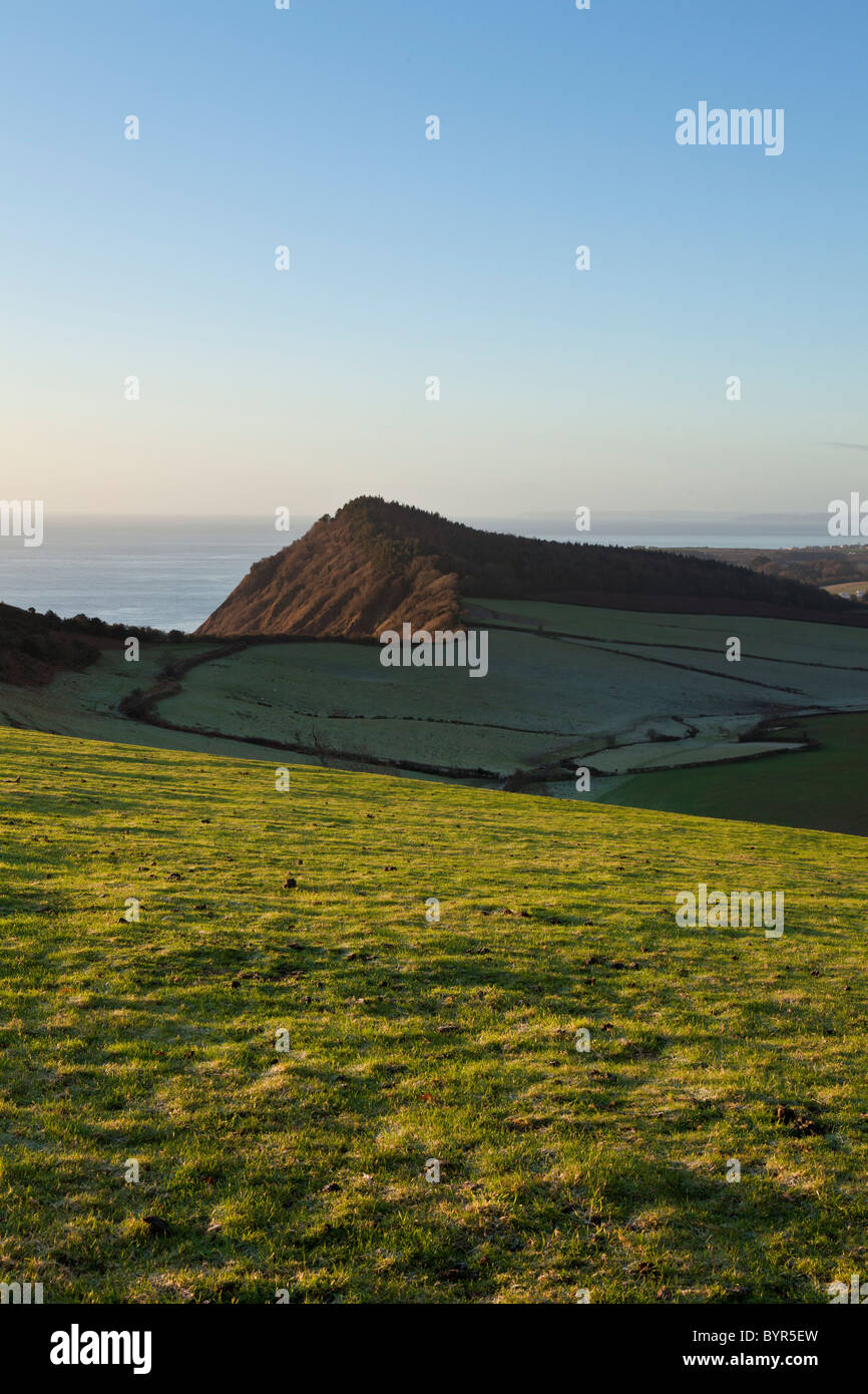 Vista rurale dal ciclo nazionale Numero di route 2 su una chiara mattina di gennaio in East Devon, con elevato picco della distanza Foto Stock