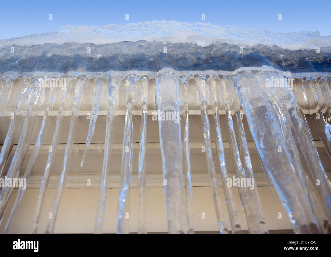 Ghiaccioli mano da una grondaia congelate su una casa in inverno Foto Stock