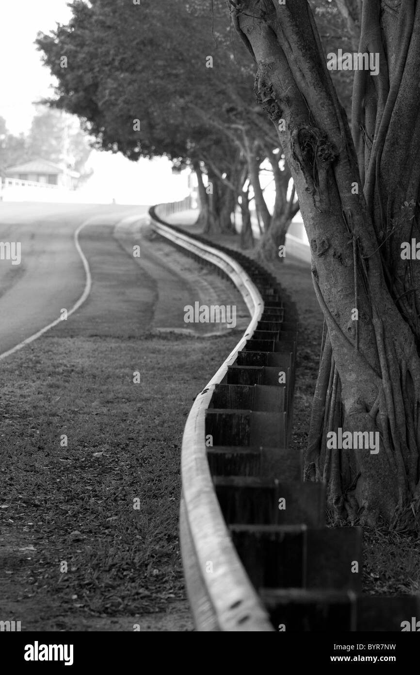 In bianco e nero di strada con ringhiera curvo e alberi Foto Stock