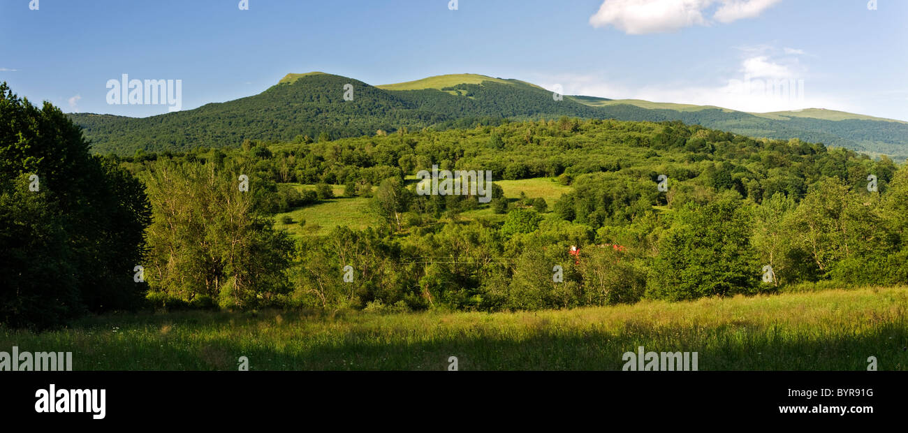 Verde dei monti Bieszczady Foto Stock