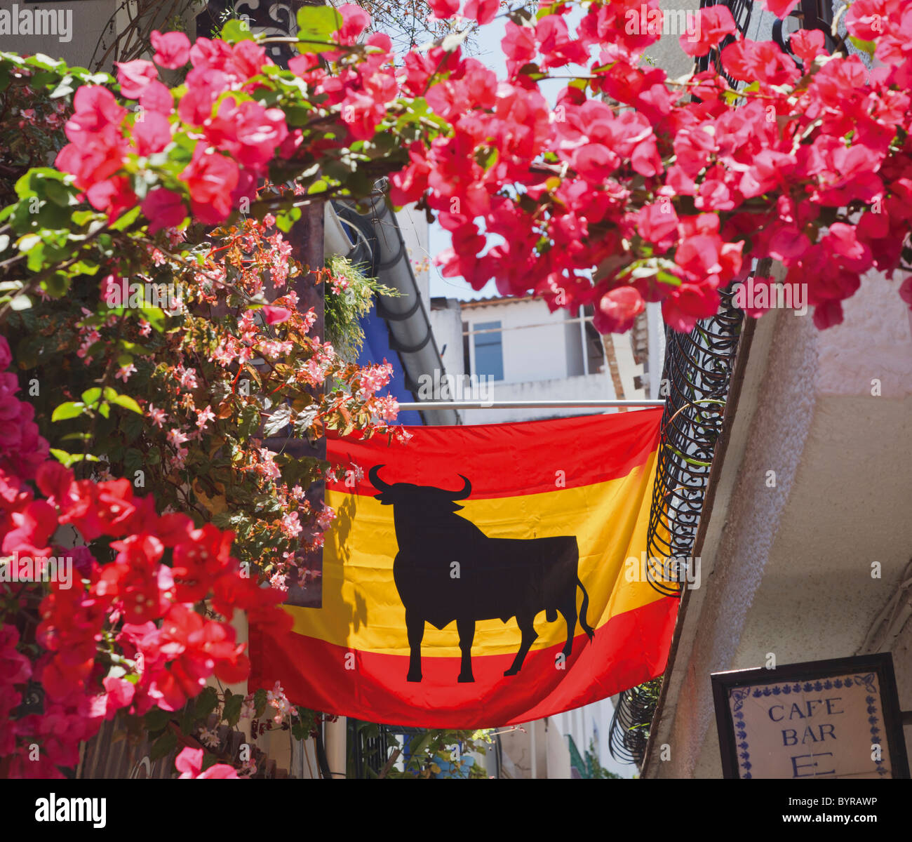 Bandiera spagnola con toro nero di bougainville un decorato street