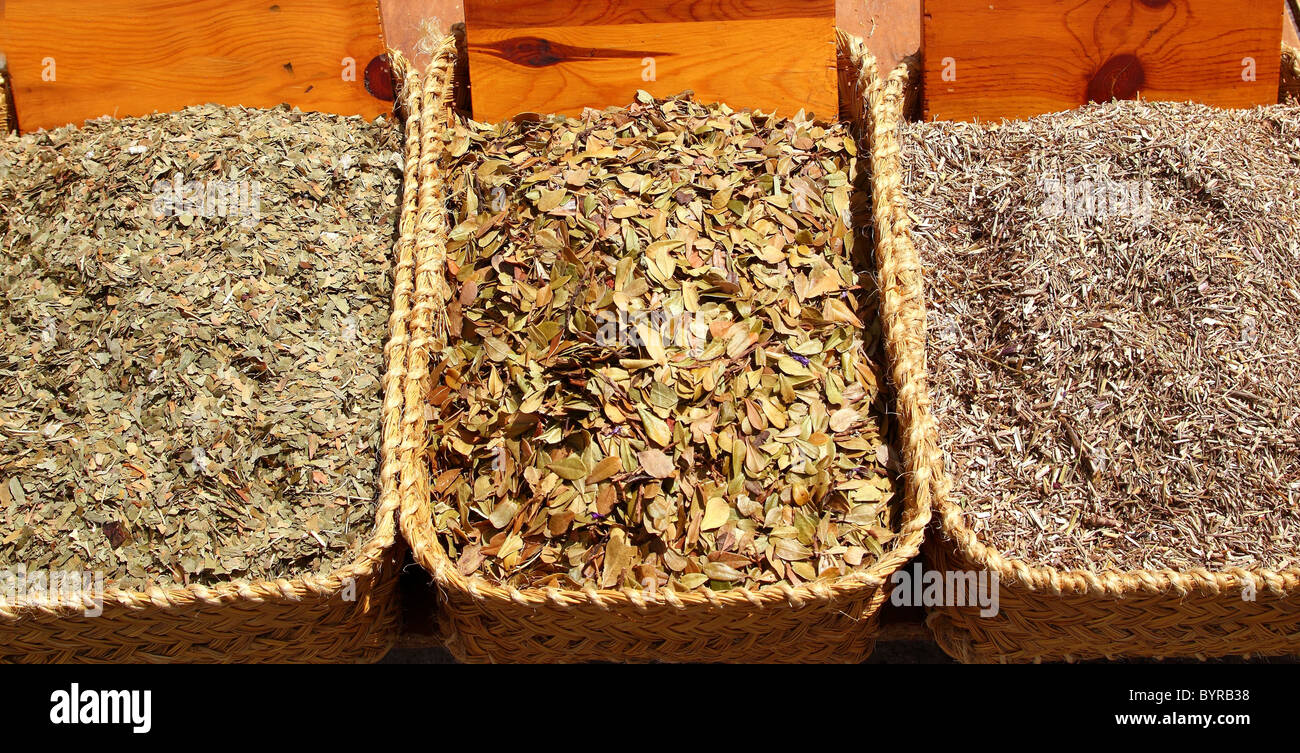 A base di erbe della medicina naturale piante di mercato lascia la medicina tradizionale Foto Stock