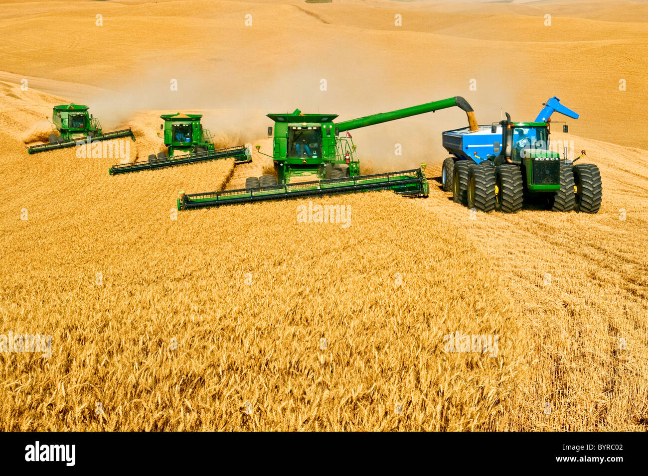 Tre John Deere combina in tandem di grano raccolto durante una scarica in un carrello per granella "on-the-go" / Pullman, Washington, Stati Uniti d'America. Foto Stock