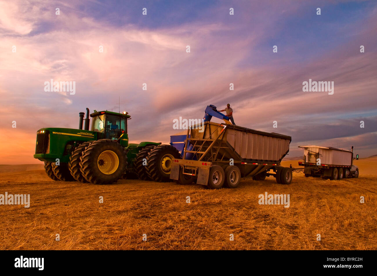Un camionista supervisiona il caricamento del suo grano carrello da un carrello per granella al tramonto / Pullman, Regione Palouse, Washington, Stati Uniti d'America. Foto Stock