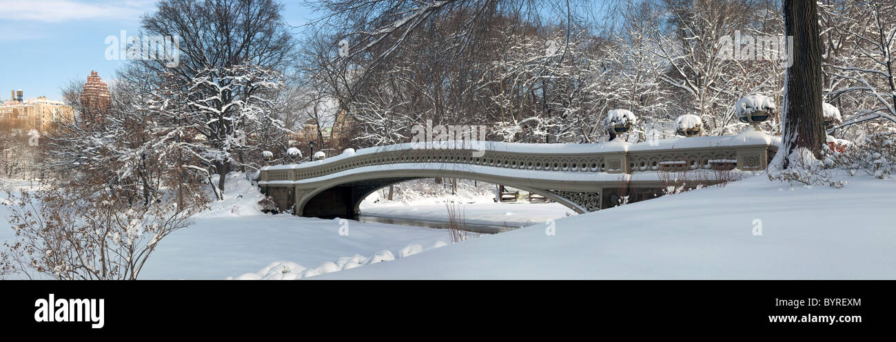 Central Park - New York City ponte di prua panoramic Foto Stock