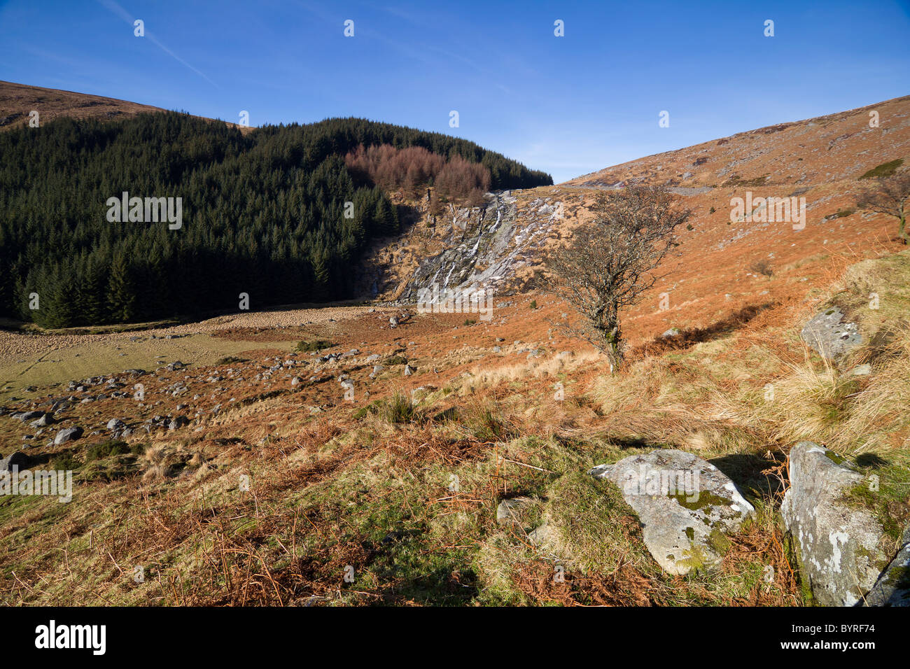 Sally Gap, Wicklow, Irlanda. Foto Stock