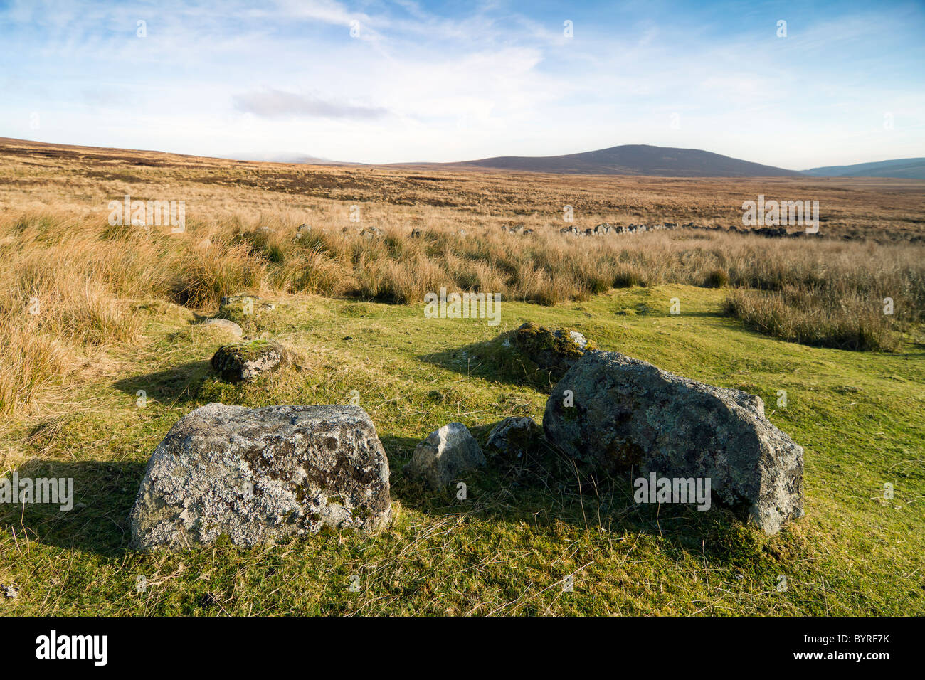 Paesaggio irlandese in Wicklow. Foto Stock