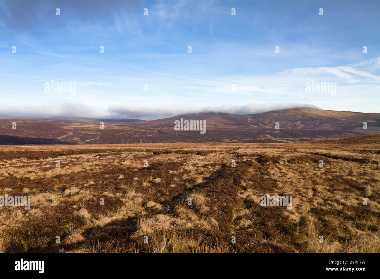 Paesaggio irlandese in Wicklow. Foto Stock
