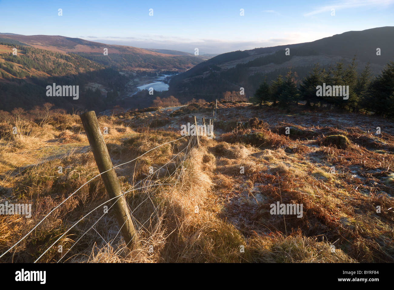 Vista su Glandalough, Irlanda su un gelido inverno mattina. Foto Stock