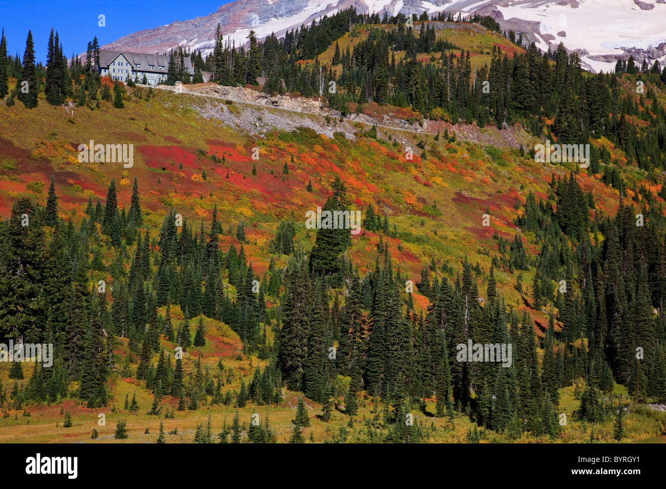 Colori autunnali in mt rainier national park; Washington, Stati Uniti d'America Foto Stock