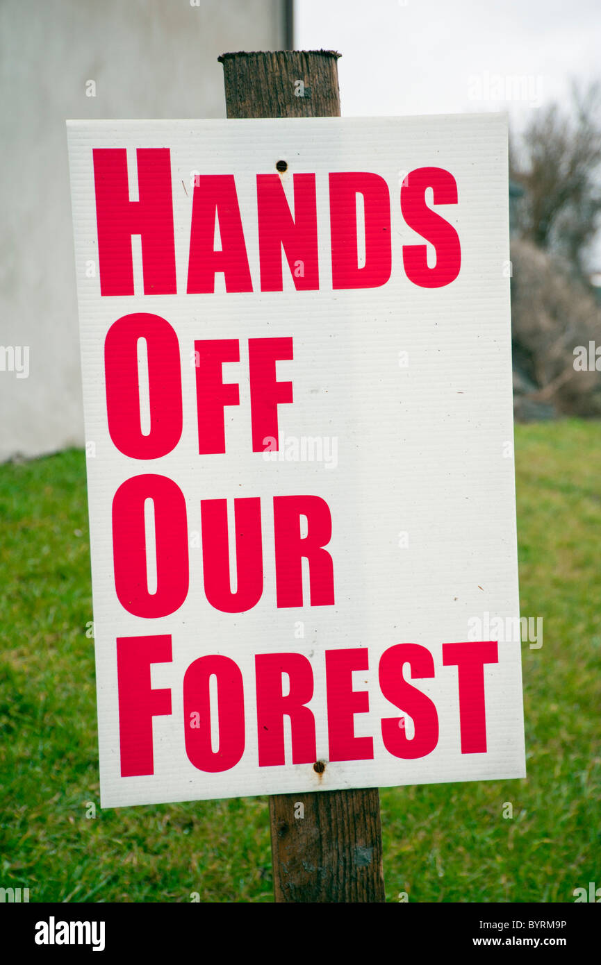Giù le mani dalla nostra foresta, cartellone, protesta nella Foresta di Dean al governo proposte vendita commissione forestale dei boschi e delle foreste Foto Stock