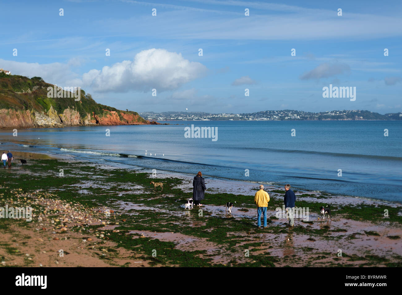 La gente camminare i loro cani in un assolato pomeriggio in spiaggia Broadsands nel Devon a Torquay e la Riviera Inglese a distanza Foto Stock