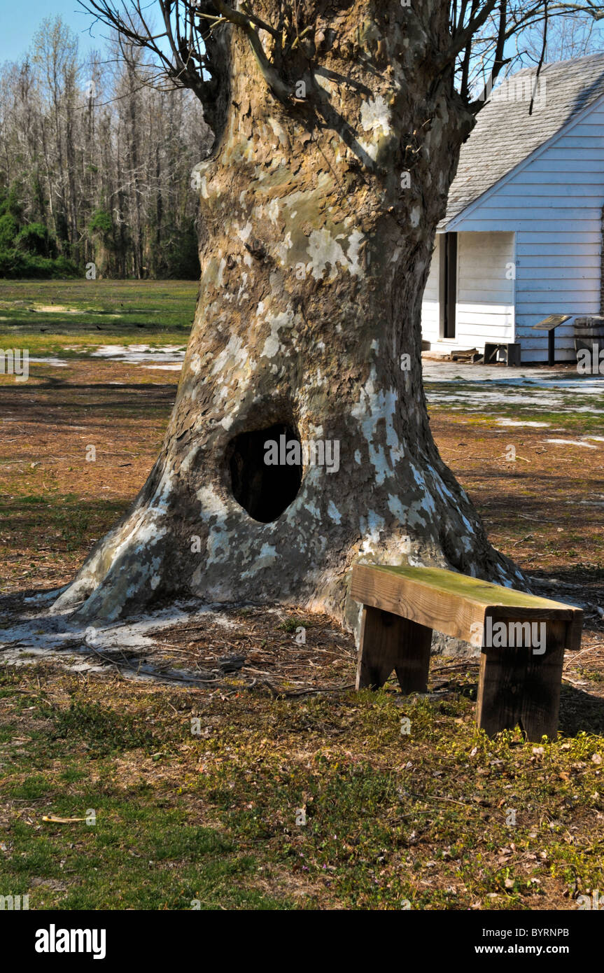 La Pettigrew homestead al Lago Phelps, Carolina del Nord Foto Stock