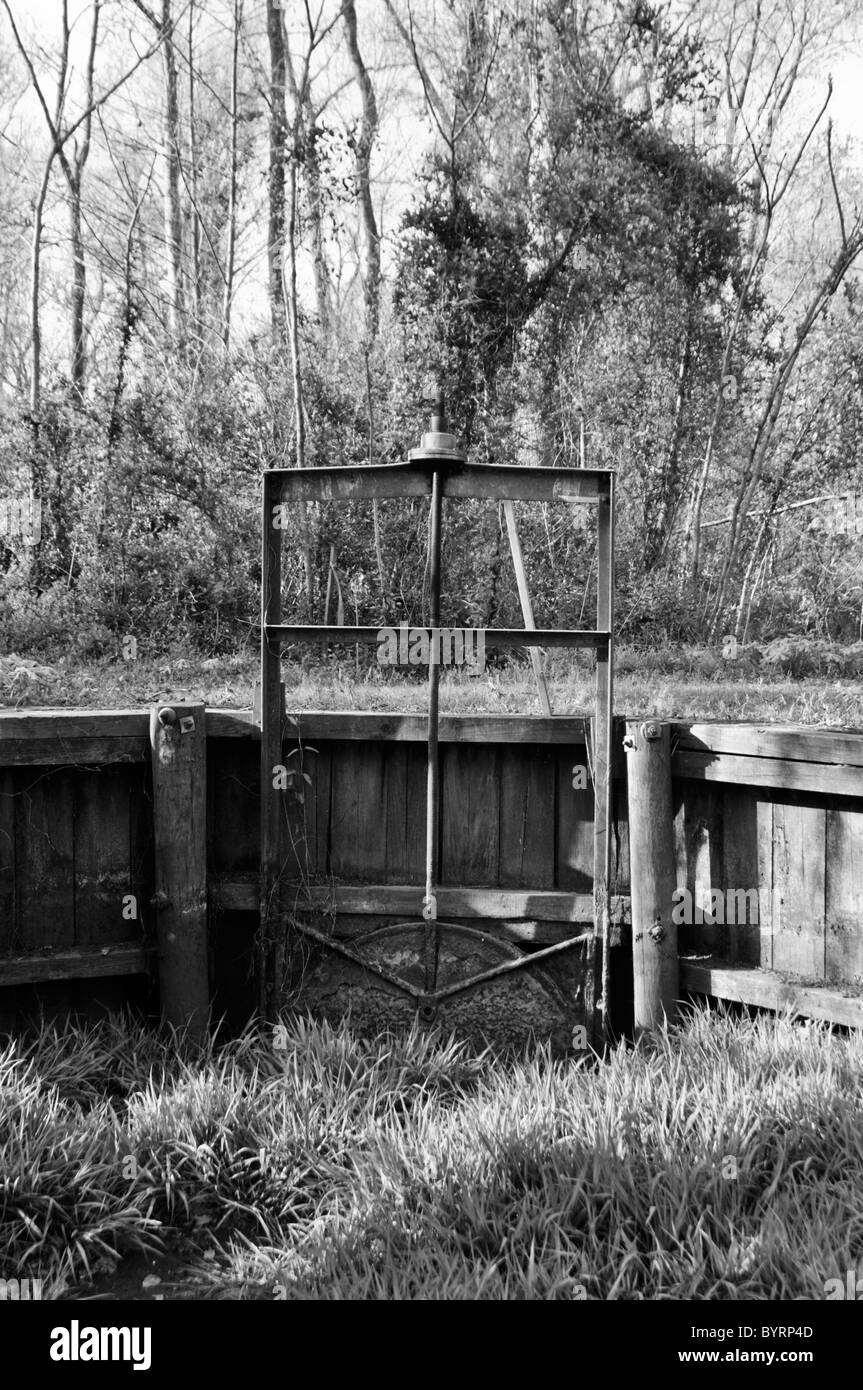 Un vecchio rustico di irrigazione di gate di controllo a Pettigrew State Park, North Carolina Foto Stock