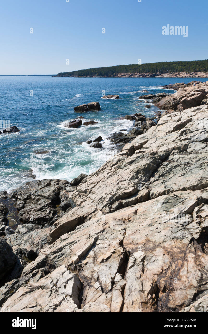 Costa rocciosa nel Parco Nazionale di Acadia vicino a Bar Harbor, Maine Foto Stock
