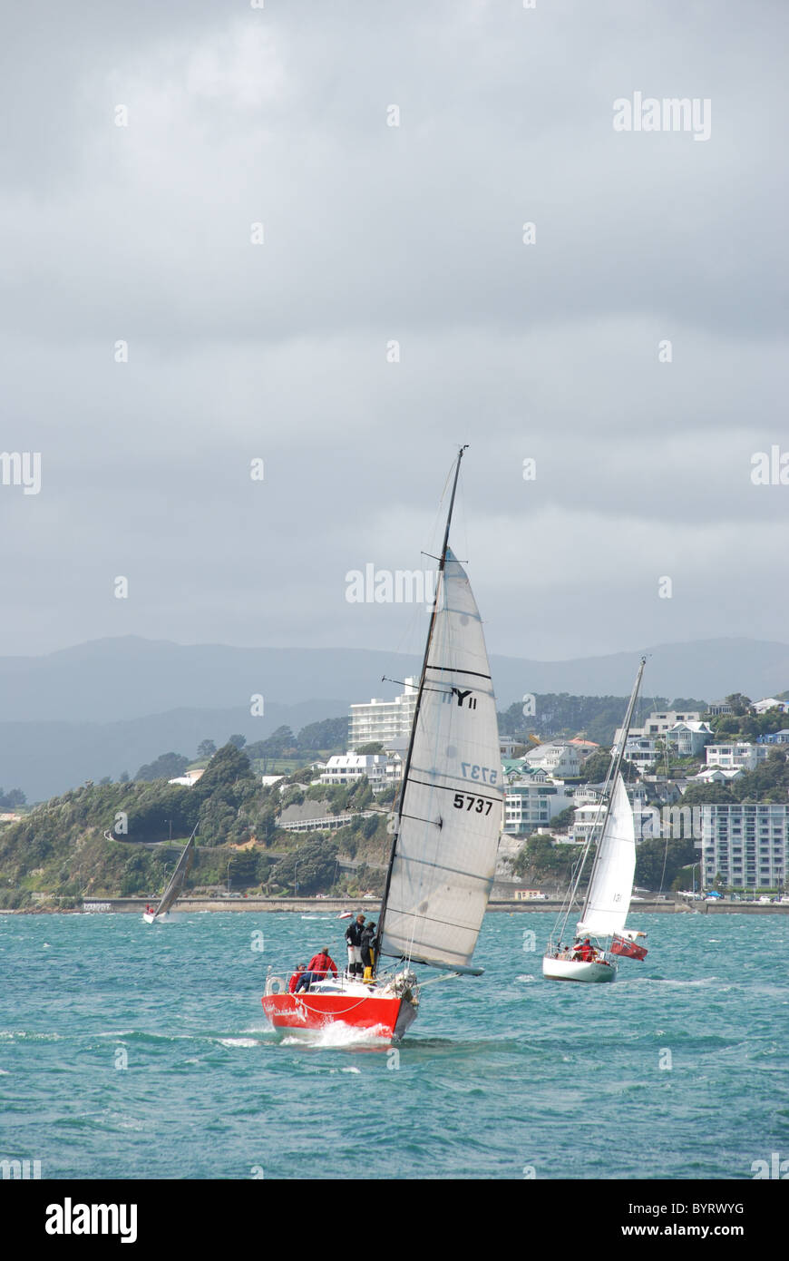 Barca a vela sul porto di Wellington, il Wellington waterfront / Harbour, Nuova Zelanda Foto Stock