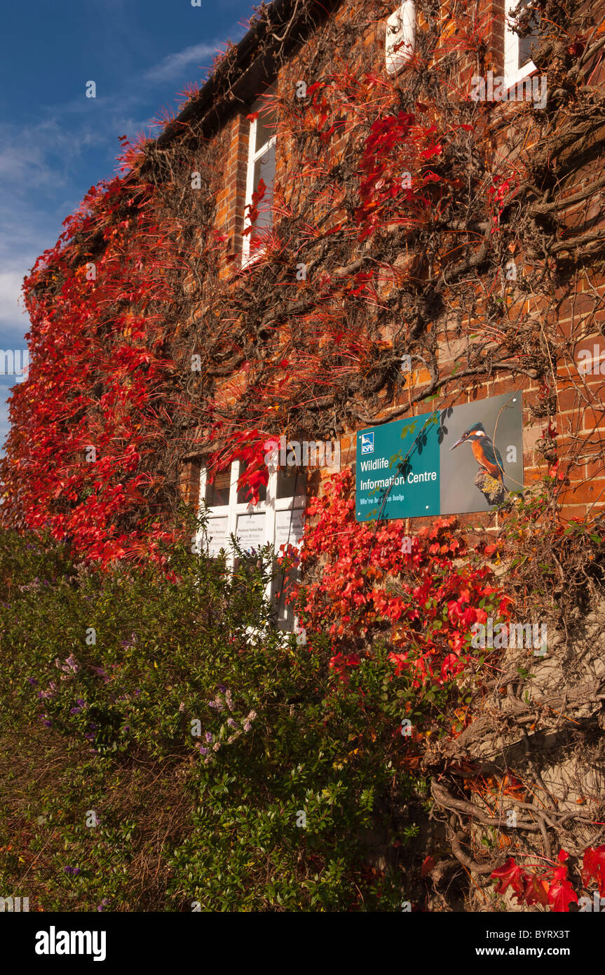 La RSPB wildlife information center a Snape Maltings in Snape , Suffolk , Inghilterra , Inghilterra , Regno Unito Foto Stock