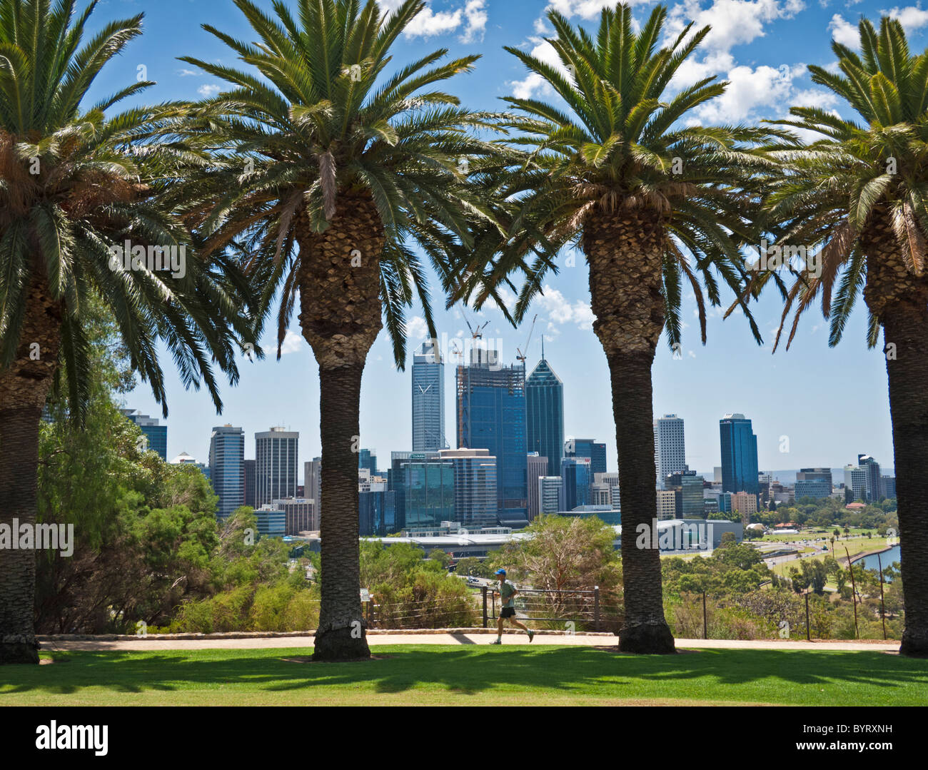 Palm vista incorniciata di Perth la CBD da Kings Park, Australia occidentale Foto Stock