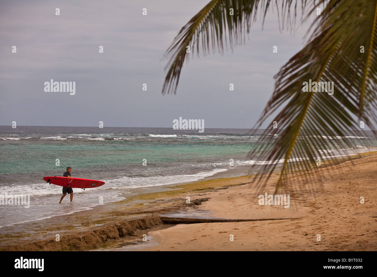 Un surfista sulla spiaggia Playa spiaggia baracche in Isabela Puerto Rico Foto Stock