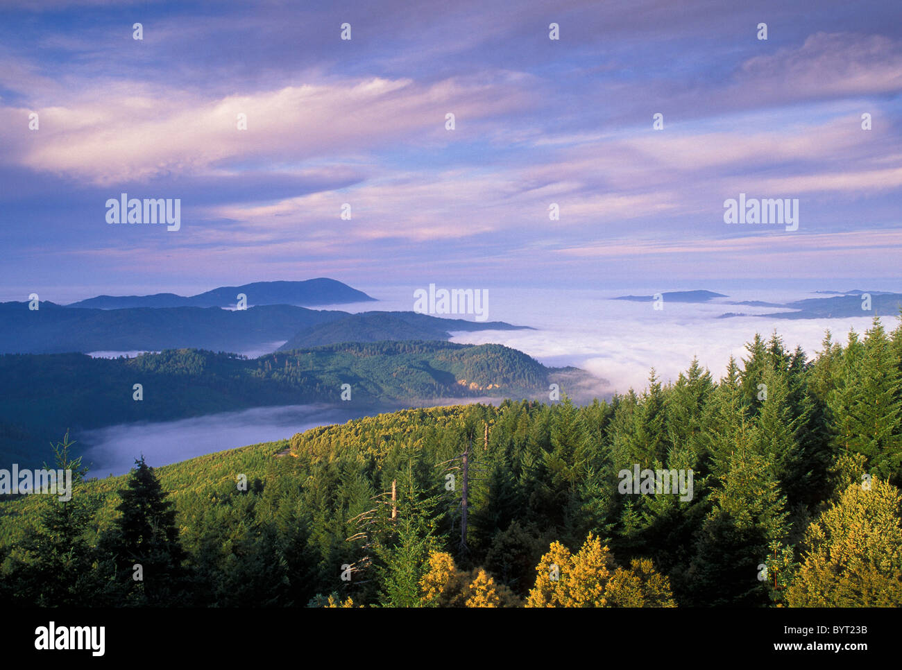 Nebbia avvolta nelle vallate del mattino da Quaglia Prairie Lookout Mountain, Siskiyou National Forest, Oregon. Foto Stock
