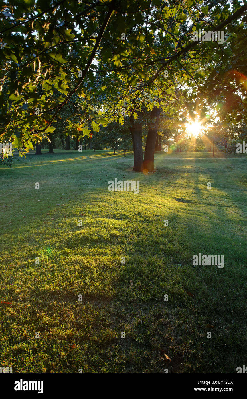 raggi di sole del parco Foto Stock