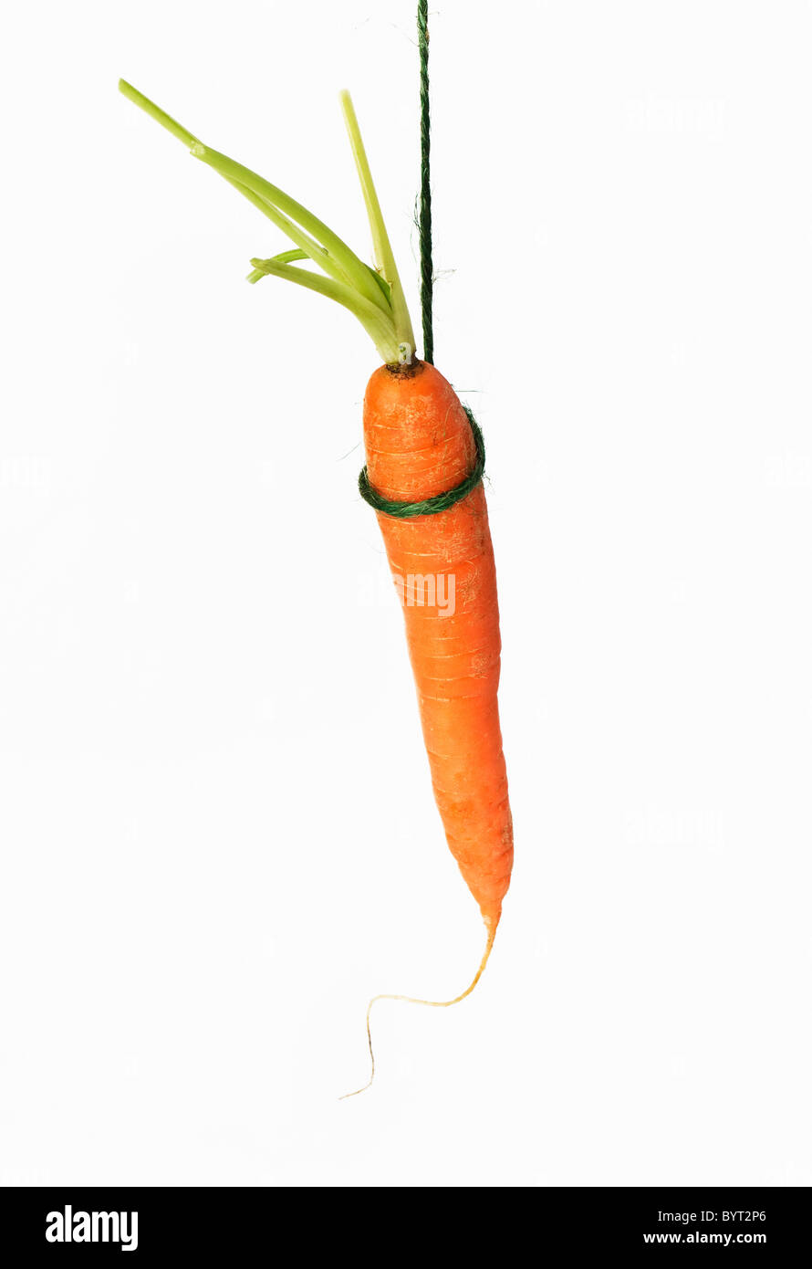 Una carota su una stringa Foto Stock